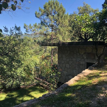 Sobreiro Valley - Casa Firmino Vieira do Minho Esterno foto