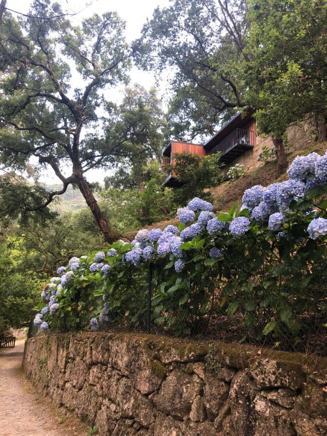Sobreiro Valley - Casa Firmino Vieira do Minho Esterno foto