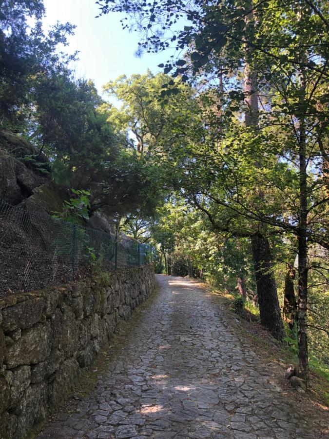 Sobreiro Valley - Casa Firmino Vieira do Minho Esterno foto