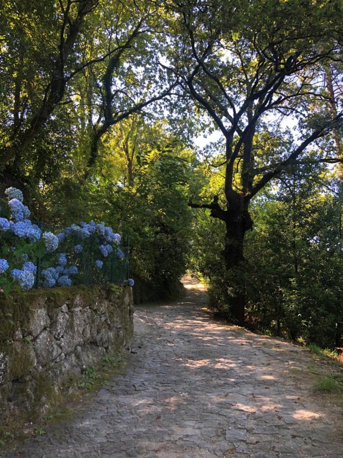 Sobreiro Valley - Casa Firmino Vieira do Minho Esterno foto