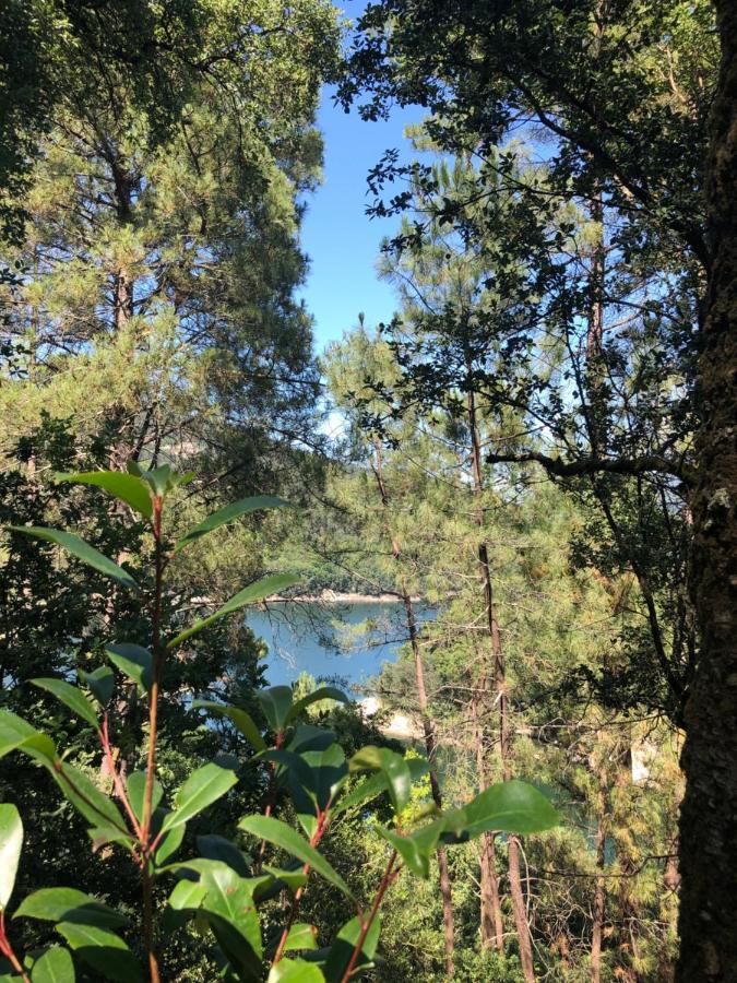 Sobreiro Valley - Casa Firmino Vieira do Minho Esterno foto