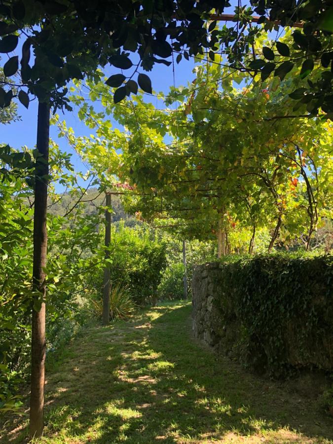 Sobreiro Valley - Casa Firmino Vieira do Minho Esterno foto